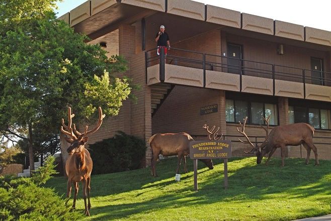 Kachina Lodge Grand Canyon Zewnętrze zdjęcie